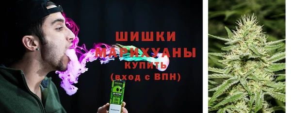 спиды Новозыбков
