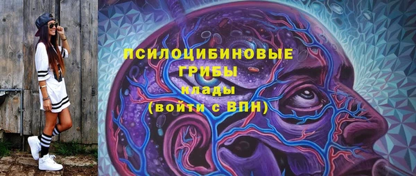 a pvp Новодвинск