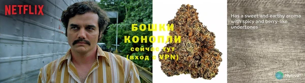 бошки Новокубанск