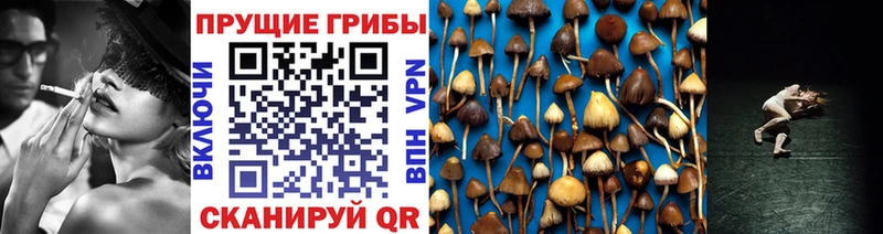 Псилоцибиновые грибы MAGIC MUSHROOMS Калачинск
