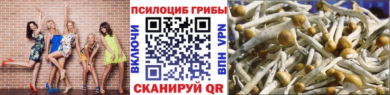 дарнет шоп Калачинск Галлюциногенные грибы Psilocybine cubensis