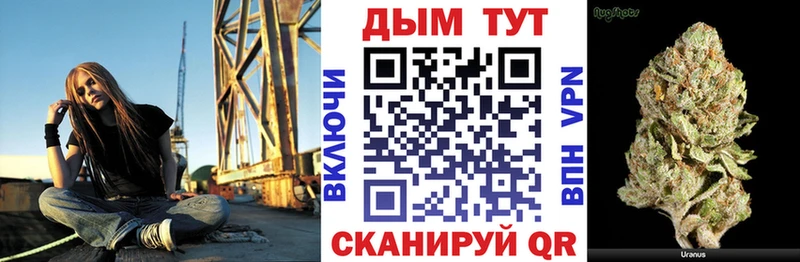 Конопля сатива  Калачинск 